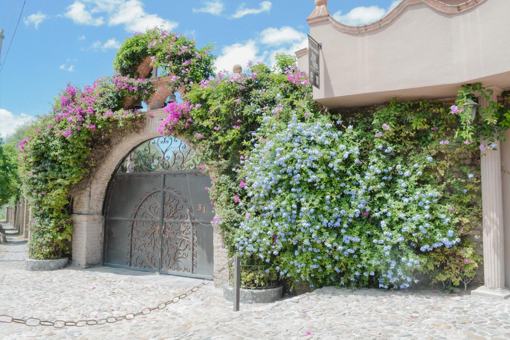 Casa Las Palmas, San Miguel De Allende Cieneguita エクステリア 写真